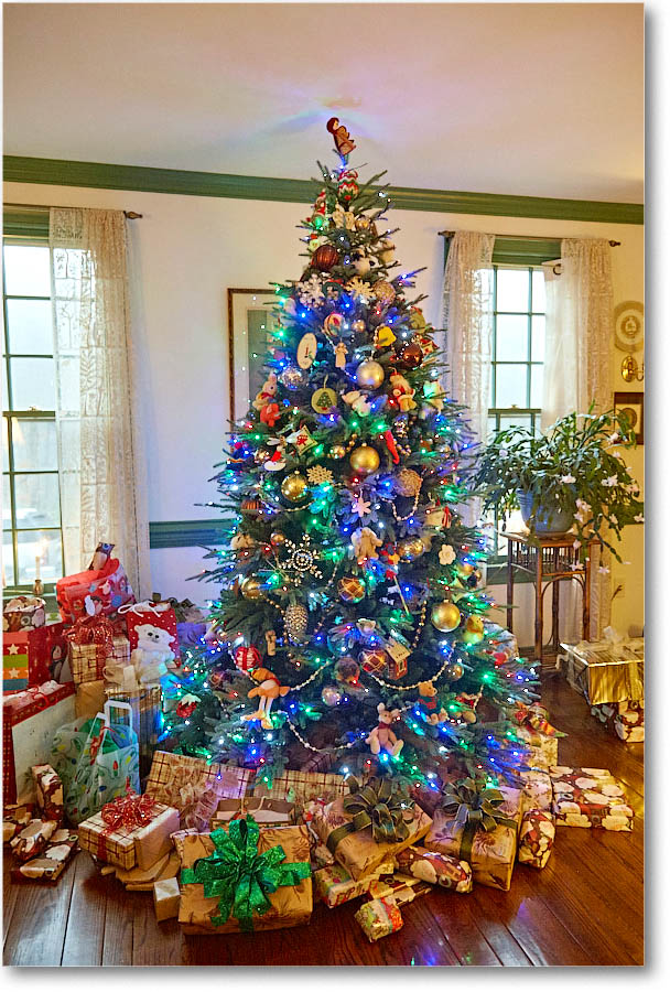 Tree_Christmas_2015_S3A9061 copy