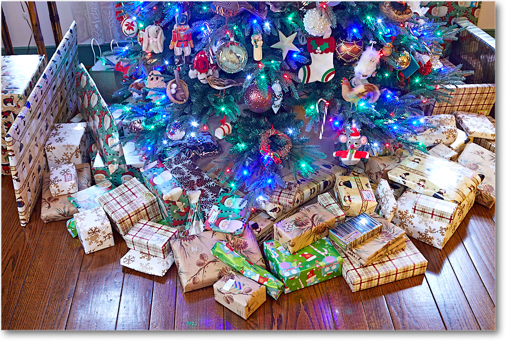 Christmas_2016Dec_5D4A0573 copy