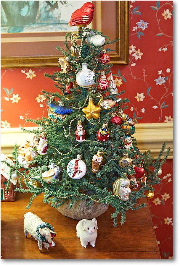 ChristmasDecor_2016Dec_5D4A0395 copy