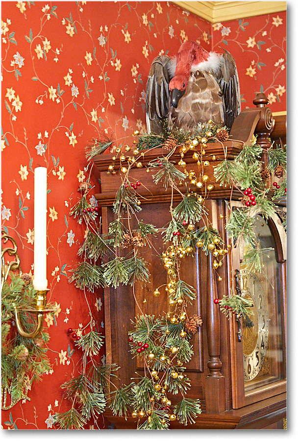 ChristmasDecor_2016Dec_5D4A0403 copy
