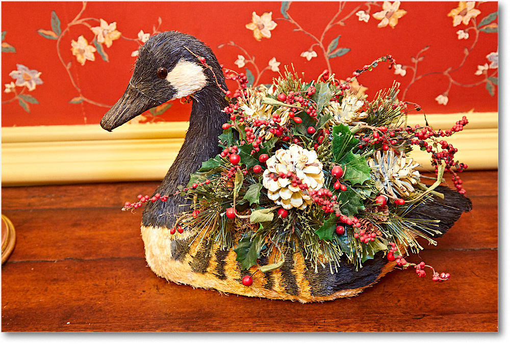 ChristmasDecor_2016Dec_5D4A0405 copy