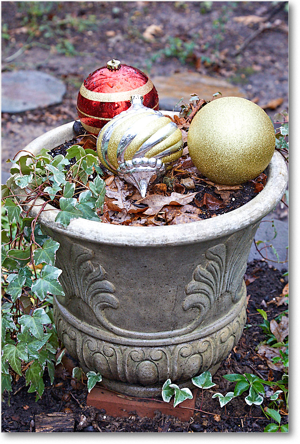 ChristmasDecor_2016Dec_5D4A0422 copy