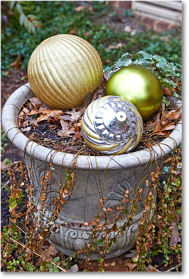 ChristmasDecor_2016Dec_5D4A0423 copy
