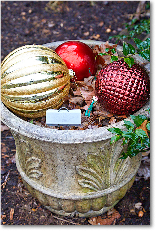 ChristmasDecor_2016Dec_5D4A0425 copy