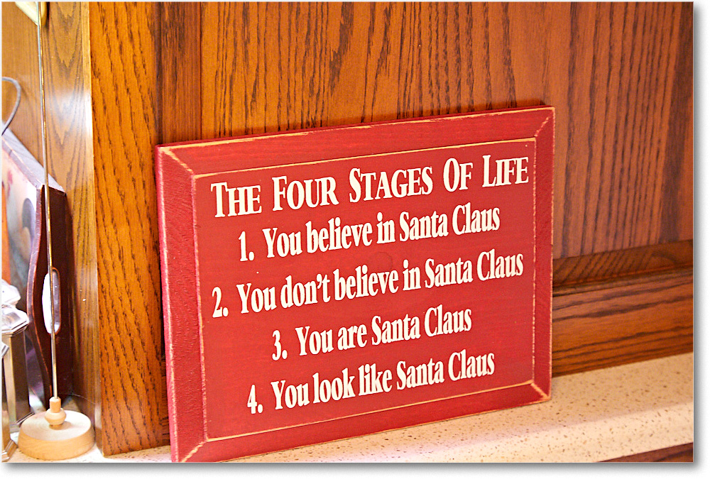 ChristmasDecor_2016Dec_5D4A0436 copy