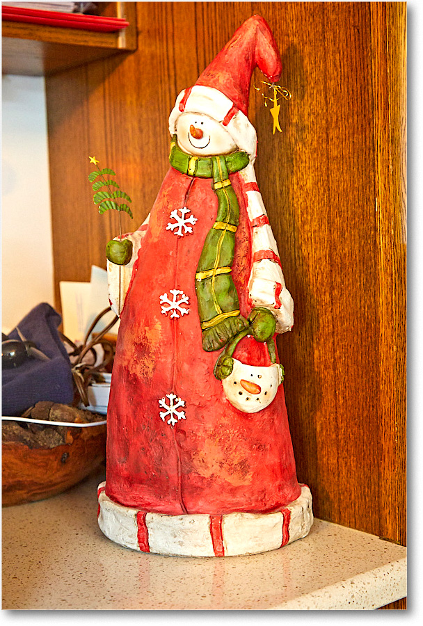 ChristmasDecor_2016Dec_5D4A0448 copy