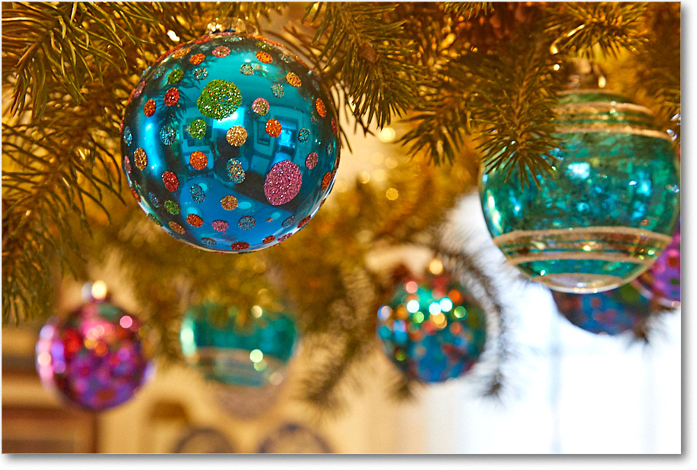 ChristmasDecor_2016Dec_5D4A0460 copy