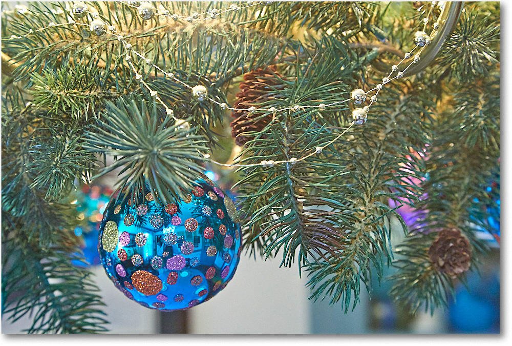 ChristmasDecor_2016Dec_5D4A0470 copy