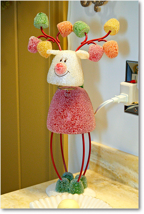 ChristmasDecor_2016Dec_5D4A0481 copy