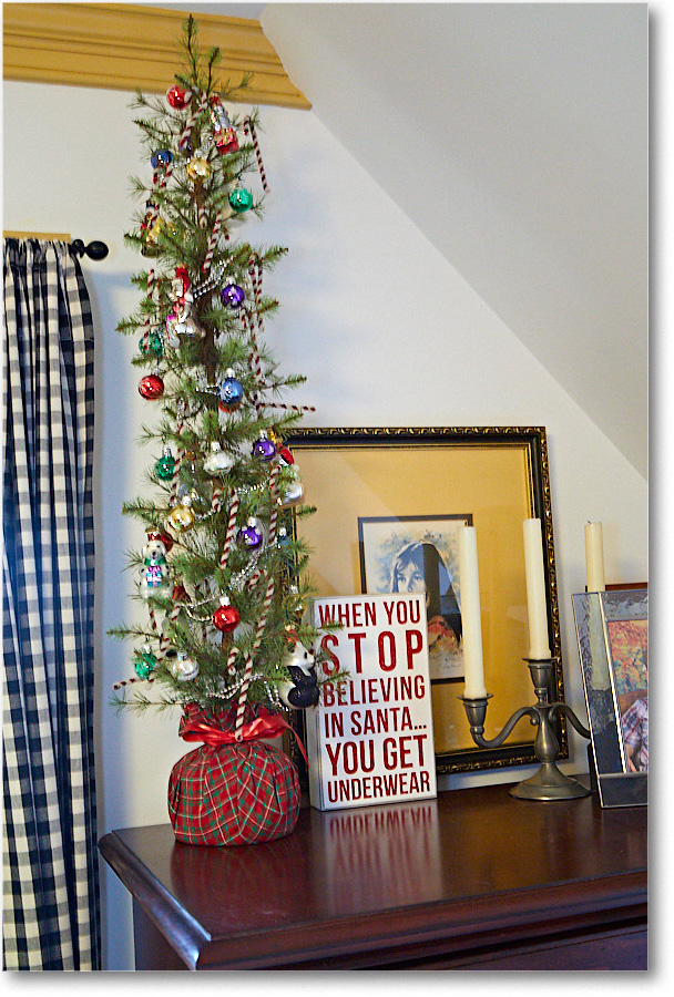 ChristmasDecor_2016Dec_5D4A0487 copy