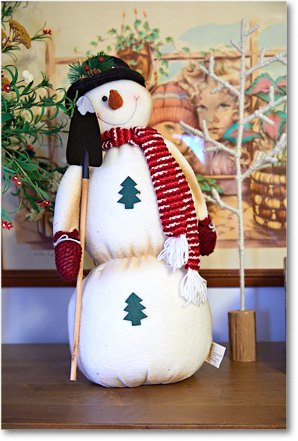 ChristmasDecor_2016Dec_5D4A0496 copy