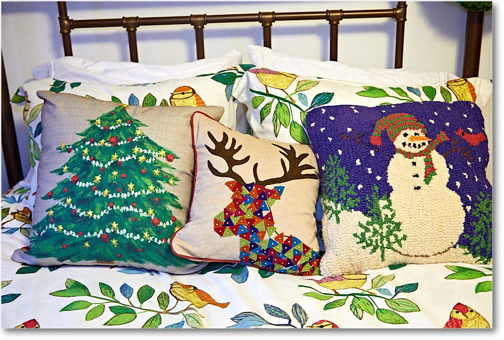 ChristmasDecor_2016Dec_5D4A0498 copy