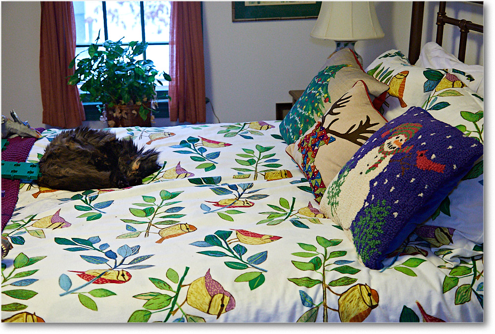 ChristmasDecor_2016Dec_5D4A0499 copy