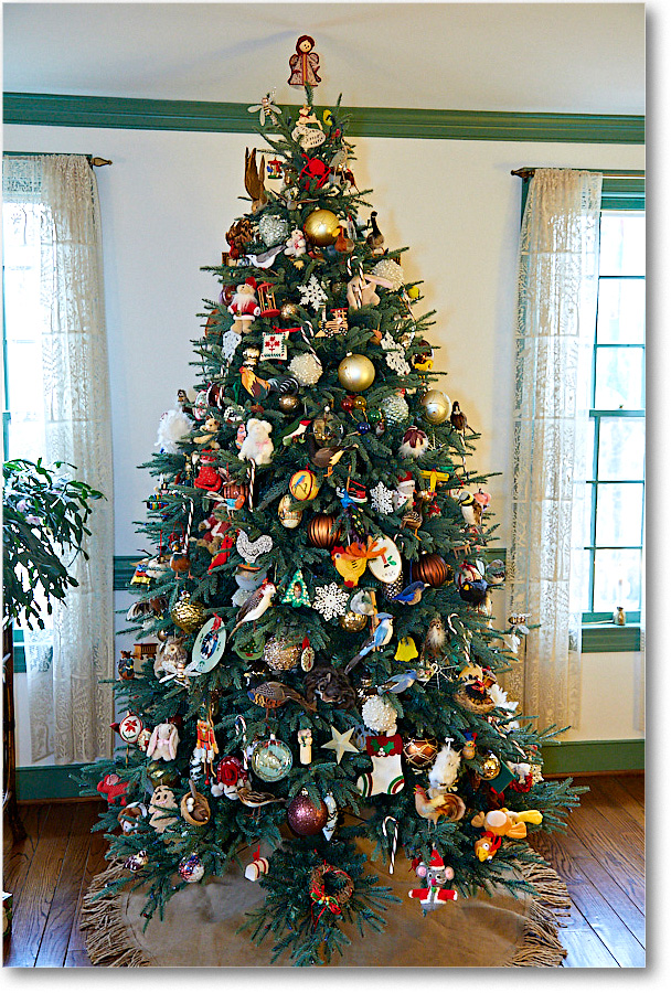 ChristmasDecor_2016Dec_5D4A0514 copy