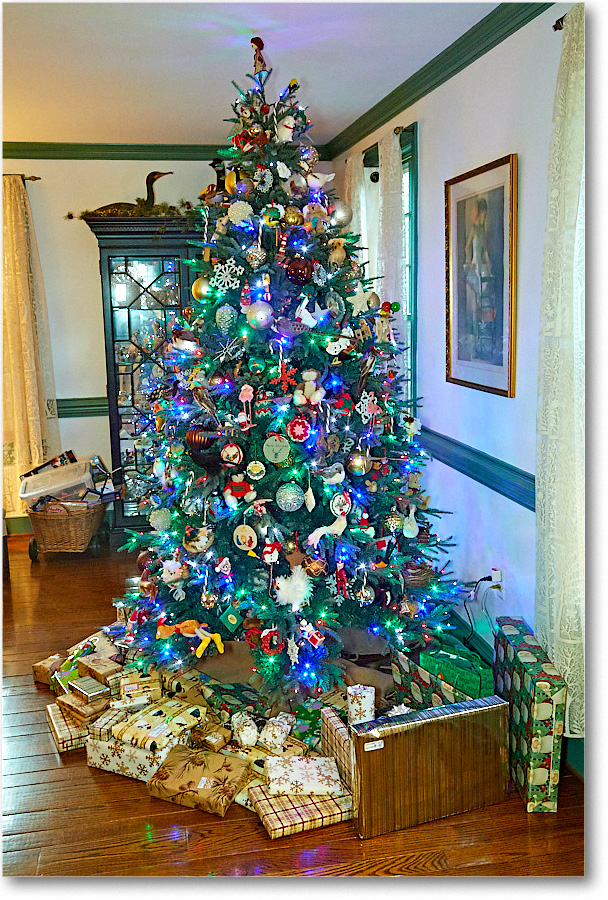 ChristmasDecor_2016Dec_5D4A0531 copy