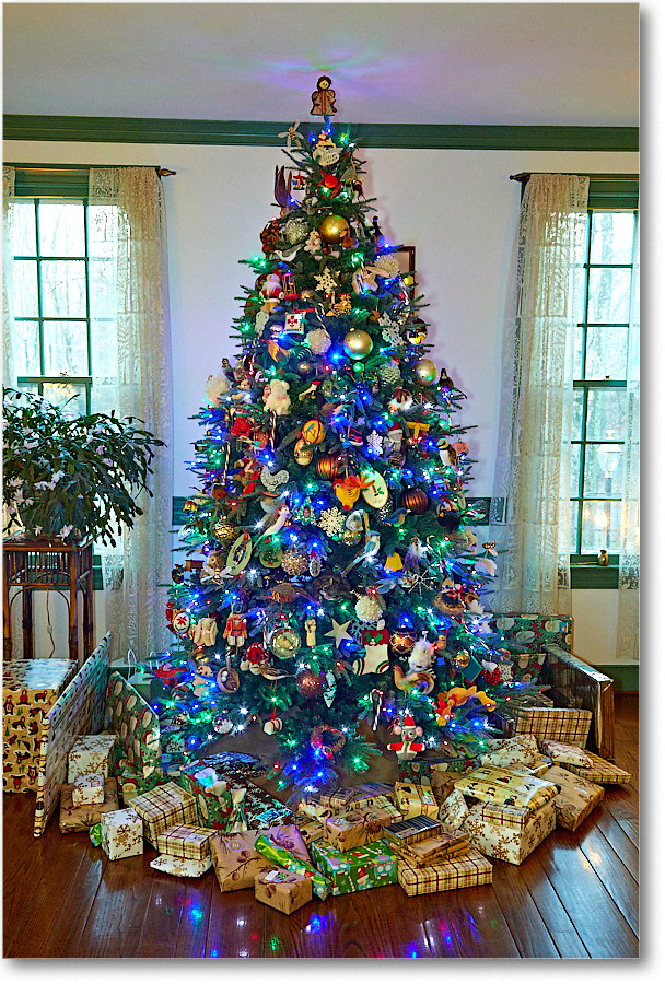 ChristmasDecor_2016Dec_5D4A0534 copy