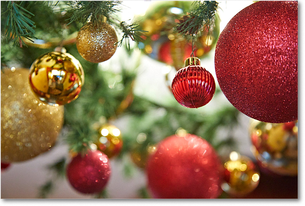 ChristmasDecor_2016Dec_5D4A0636 copy