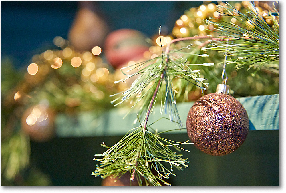 ChristmasDecor_2016Dec_5D4A0640 copy