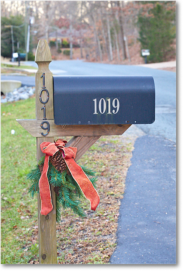 ChristmasDecor_2016Dec_5D4A0677 copy