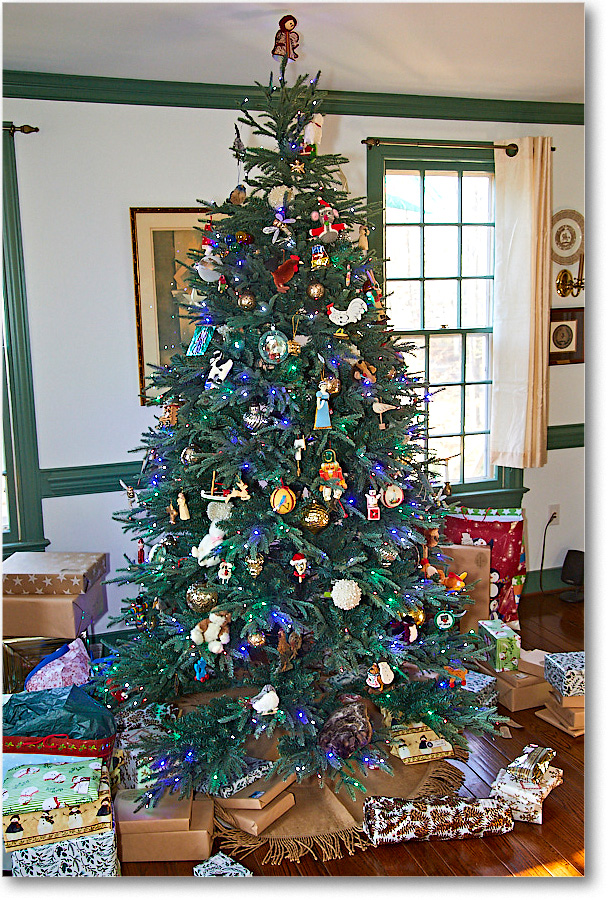 Christmas2017_2017Dec_5D5A0650 copy