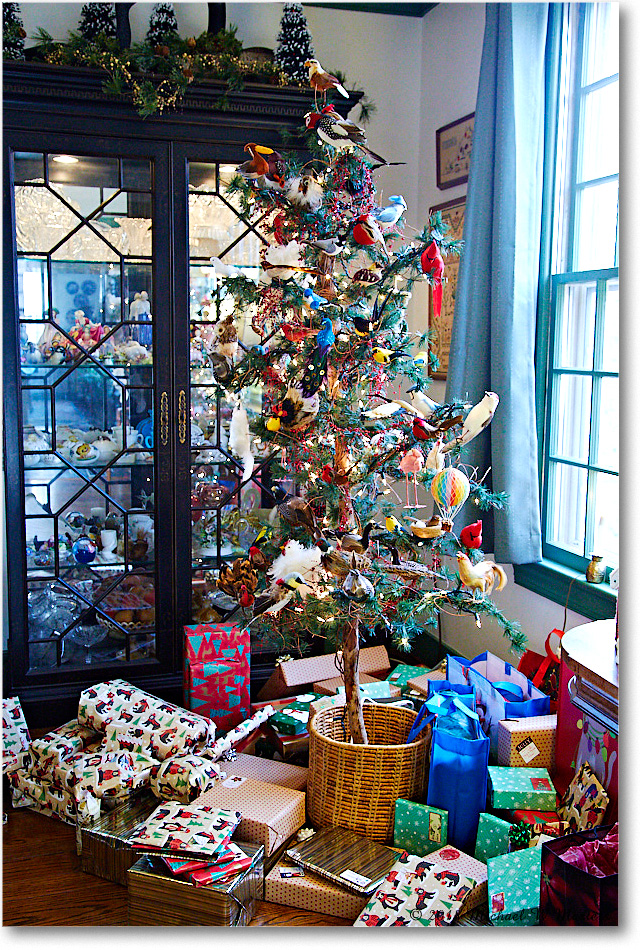 Christmas2018_2018Dec_5D4A1179 copy