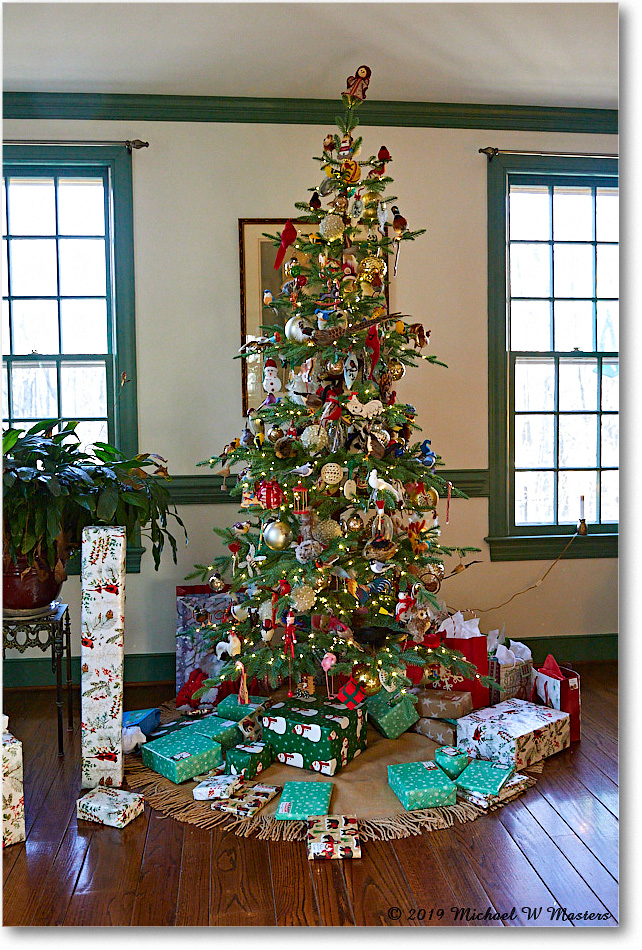 Christmas_2019Dec_5D5A1852 copy