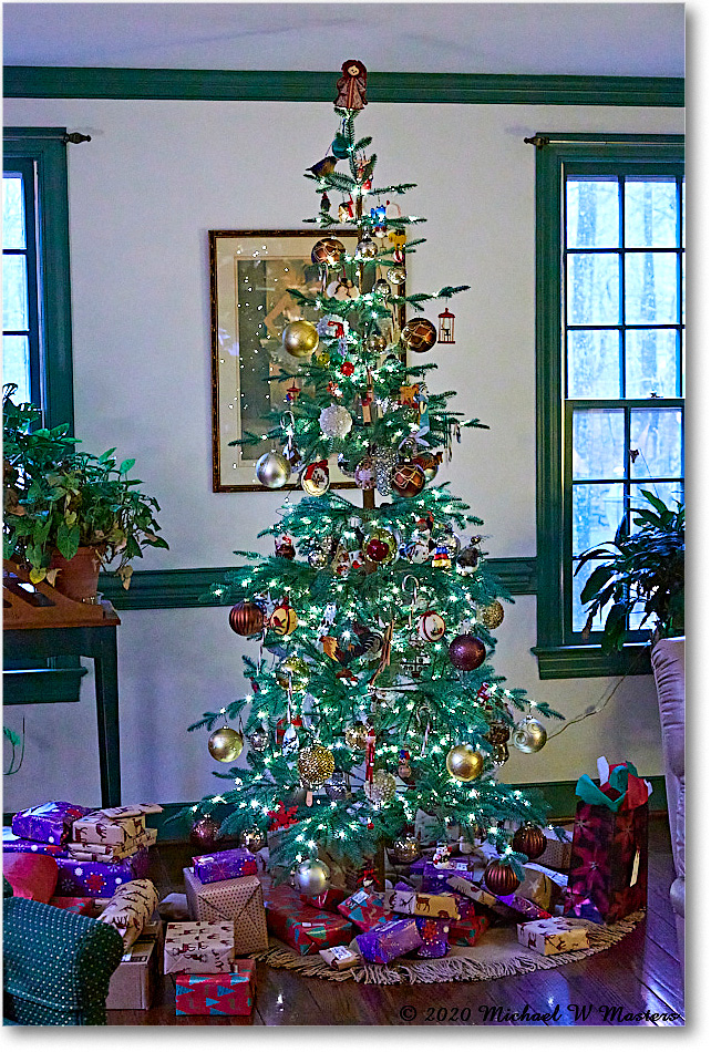 Christmas_2020Dec_5D4A2788 copy