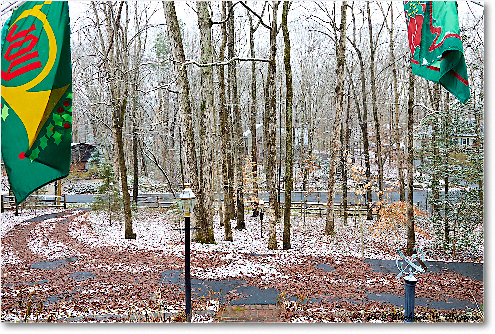 Christmas_2020Dec_5D4A2792 copy