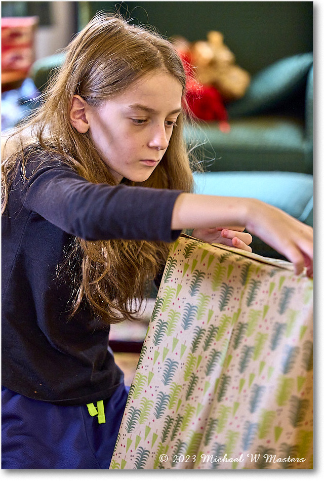 MichaelWesley_Christmas_2023Dec_R5A22490 copy