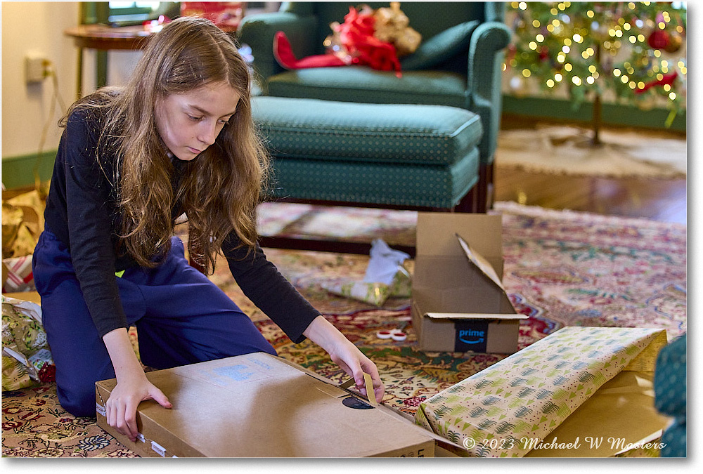 MichaelWesley_Christmas_2023Dec_R5A22492 copy