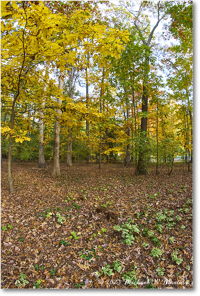 BackWoods_Fall_2023Oct_R5B13568