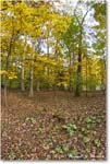 BackWoods_Fall_2023Oct_R5B13568