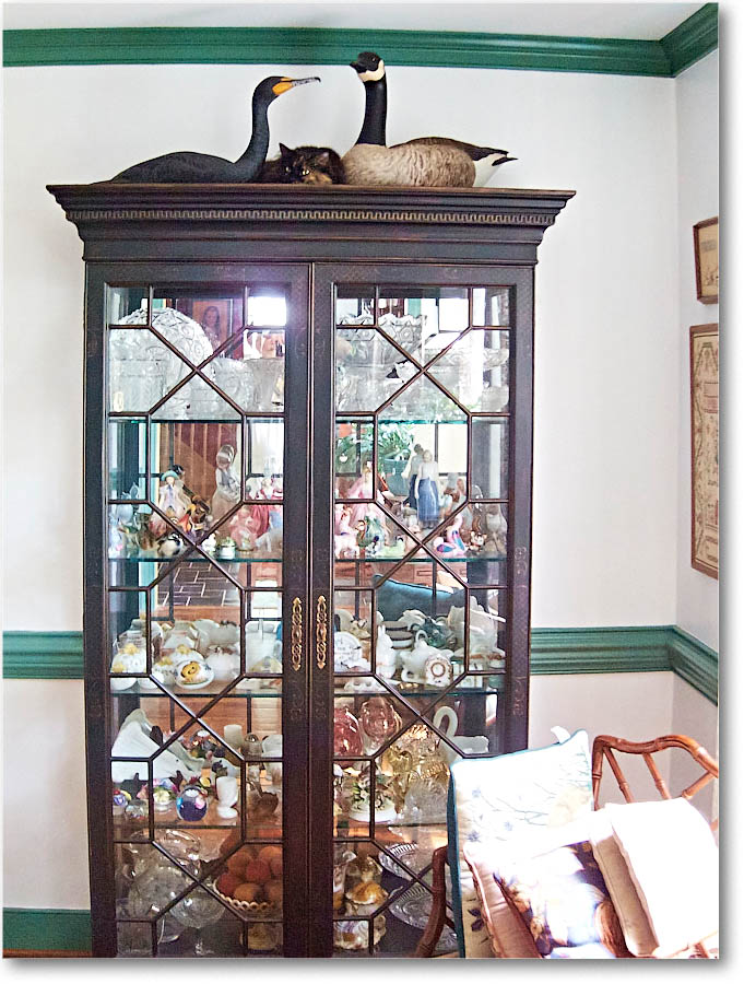 LuckyCat_2014Aug_IMG_2820 copy