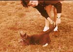 1963-05 Susan_Unknown_1963May_SCB8-R2C2-PT-EK09_Topaz
