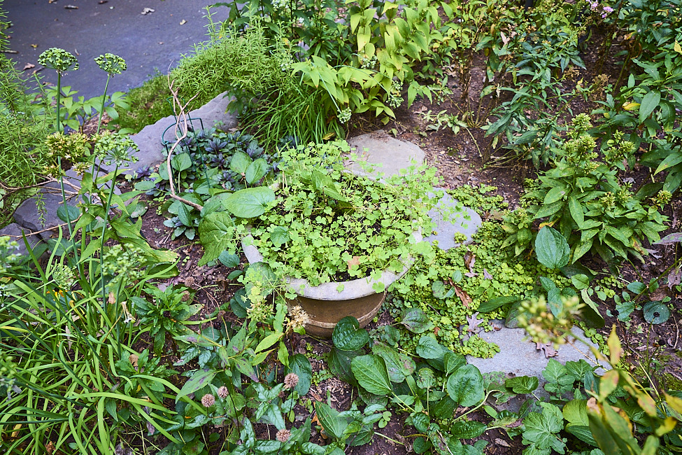 F08 GroundCover