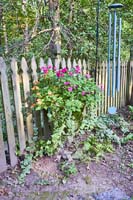 R25 Impatiens EngIvy