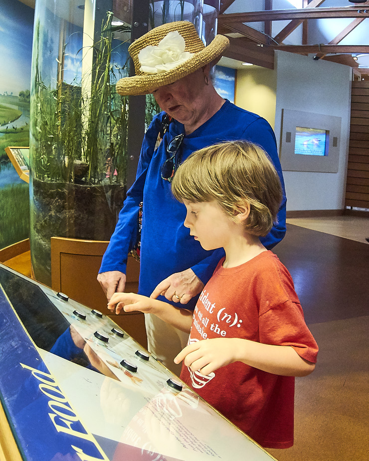 2018-06 BatemanCenter_Assateague_2018Jun_IMG_3778