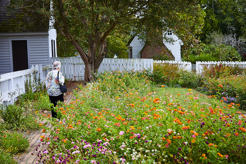 2019-10 Taliaferro-ColeGarden_Williamsburg_2019Oct_5D4A1890