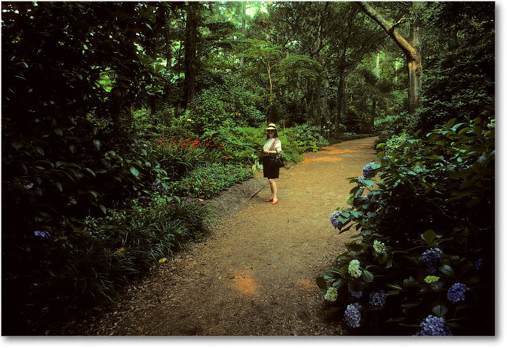 Susan_Manteo_1989July_B6C06_35 copy