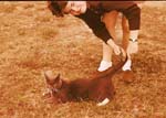 1963-05 Susan_Unknown_1963May_SCB8-R2C2-PT-EK09_Topaz