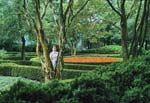 1974-08 Susan_FireFlowers_Manteo_1974Aug_PP01_22_Topaz
