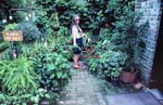 1988-07 Susan_Manteo_1988Jul_SCB6-R2C2-PT-KR36_Topaz
