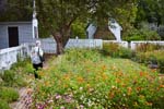 2019-10 Taliaferro-ColeGarden_Williamsburg_2019Oct_5D4A1890