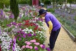2025-05 Susan&Dianthus_LightfootTenement_Williamsburg_2025May_R5A24928