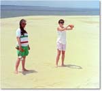 88-6 Kite at Nag's Head copy