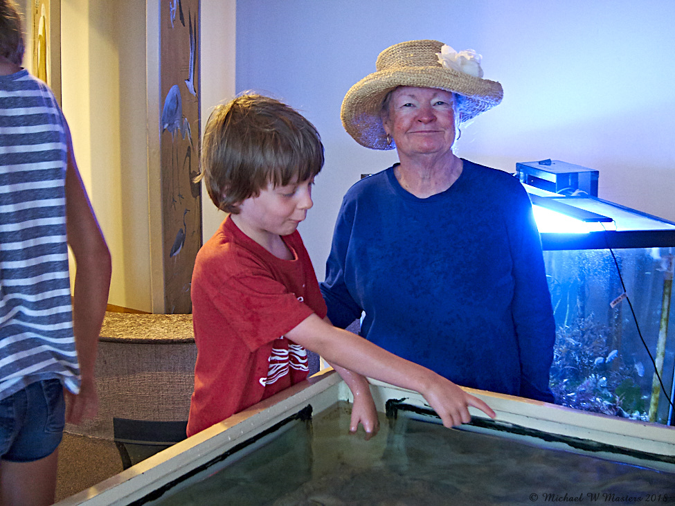 2018-06 Vacation_Chincoteague_2018Jun_IMG_3810