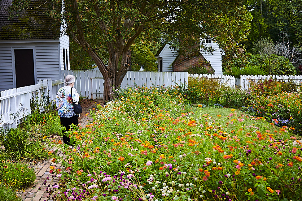 2019-10 A149 Taliaferro-ColeGarden_Williamsburg_2019Oct_5D4A1890