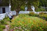 2019-10 A149 Taliaferro-ColeGarden_Williamsburg_2019Oct_5D4A1890