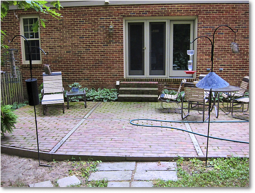 Susie'sGarden_2010Aug_IMG_0302