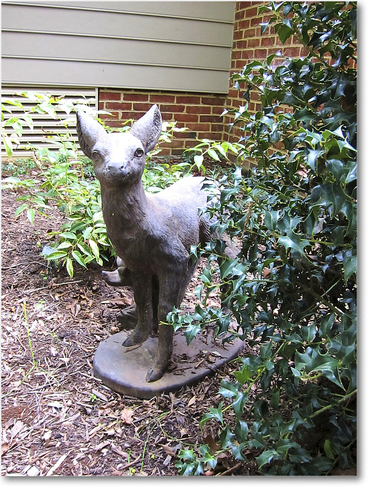 Susie'sGarden_2010Aug_IMG_0305